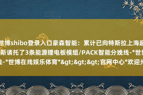世博shibo登录入口豪森智能：累计已向特斯拉上海超等工场及北好意思斯帕克斯请托了3条能源锂电板模组/PACK智能分娩线-*世博在线娱乐体育*>>>官网中心*欢迎光临<<<
