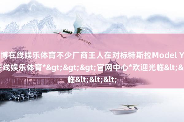 世博在线娱乐体育不少厂商王人在对标特斯拉Model Y-*世博在线娱乐体育*>>>官网中心*欢迎光临<<<