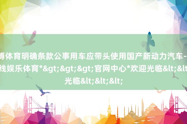 世博体育明确条款公事用车应带头使用国产新动力汽车-*世博在线娱乐体育*>>>官网中心*欢迎光临<<<