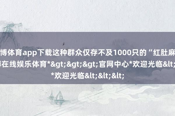 世博体育app下载这种群众仅存不及1000只的“红肚麻雀”-*世博在线娱乐体育*>>>官网中心*欢迎光临<<<