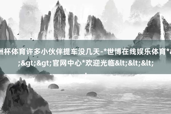 欧洲杯体育许多小伙伴提车没几天-*世博在线娱乐体育*>>>官网中心*欢迎光临<<<