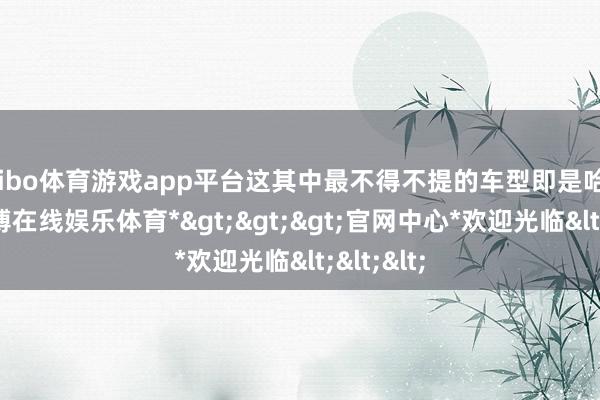shibo体育游戏app平台这其中最不得不提的车型即是哈弗H6-*世博在线娱乐体育*>>>官网中心*欢迎光临<<<