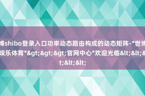 世博shibo登录入口功率动态路由构成的动态矩阵-*世博在线娱乐体育*>>>官网中心*欢迎光临<<<