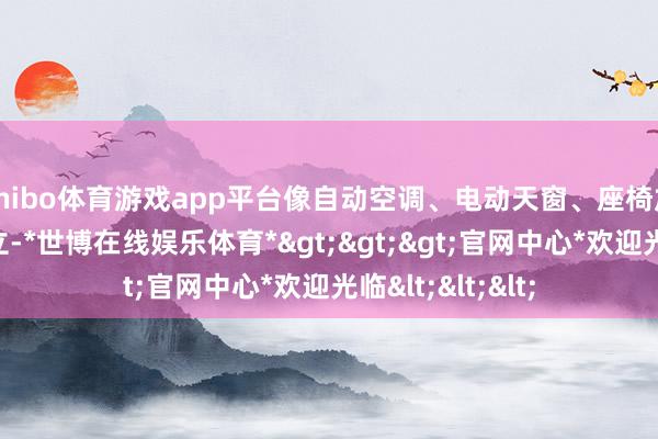 shibo体育游戏app平台像自动空调、电动天窗、座椅加热等舒坦性建立-*世博在线娱乐体育*>>>官网中心*欢迎光临<<<