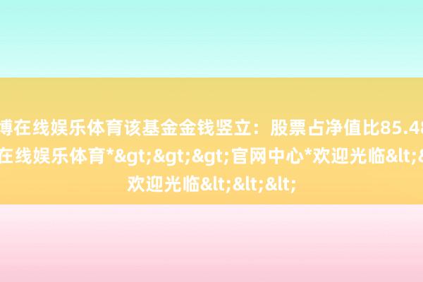 世博在线娱乐体育该基金金钱竖立：股票占净值比85.48%-*世博在线娱乐体育*>>>官网中心*欢迎光临<<<