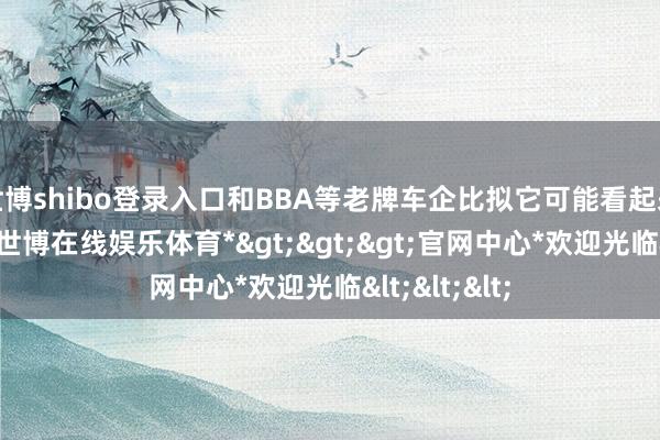 世博shibo登录入口和BBA等老牌车企比拟它可能看起来过于稚嫩-*世博在线娱乐体育*>>>官网中心*欢迎光临<<<