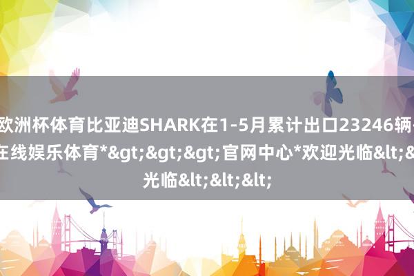欧洲杯体育比亚迪SHARK在1-5月累计出口23246辆-*世博在线娱乐体育*>>>官网中心*欢迎光临<<<