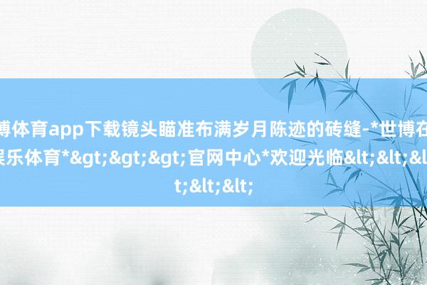世博体育app下载镜头瞄准布满岁月陈迹的砖缝-*世博在线娱乐体育*>>>官网中心*欢迎光临<<<