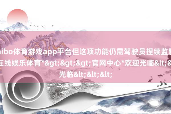shibo体育游戏app平台但这项功能仍需驾驶员捏续监管-*世博在线娱乐体育*>>>官网中心*欢迎光临<<<