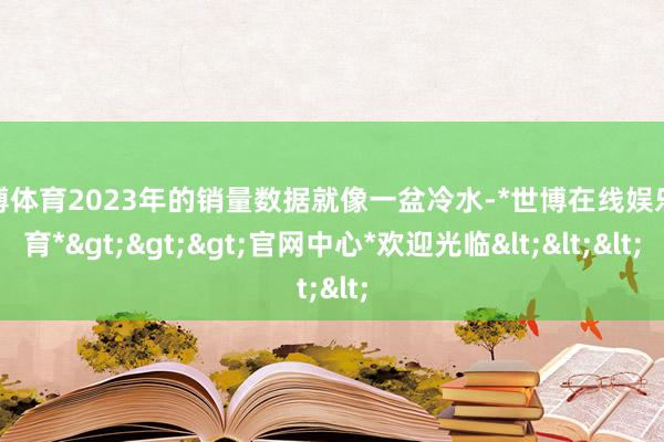 世博体育2023年的销量数据就像一盆冷水-*世博在线娱乐体育*>>>官网中心*欢迎光临<<<