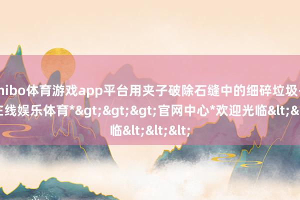 shibo体育游戏app平台用夹子破除石缝中的细碎垃圾-*世博在线娱乐体育*>>>官网中心*欢迎光临<<<