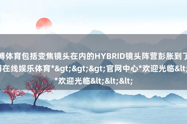 世博体育包括变焦镜头在内的HYBRID镜头阵营彭胀到了七款-*世博在线娱乐体育*>>>官网中心*欢迎光临<<<