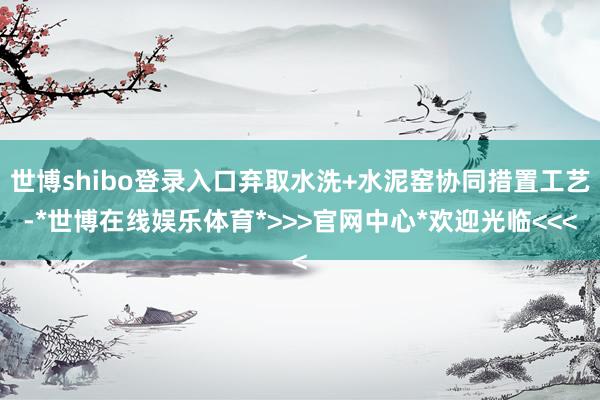 世博shibo登录入口弃取水洗+水泥窑协同措置工艺-*世博在线娱乐体育*>>>官网中心*欢迎光临<<<