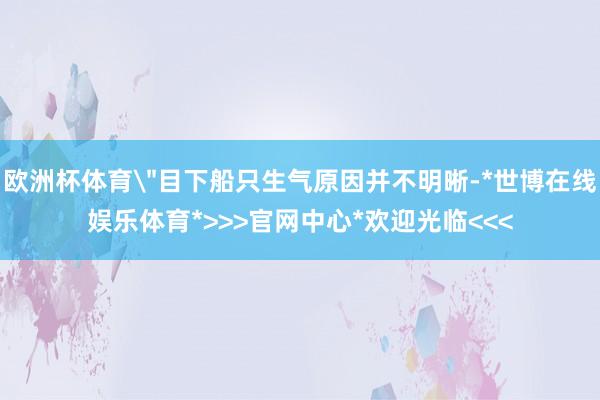 欧洲杯体育